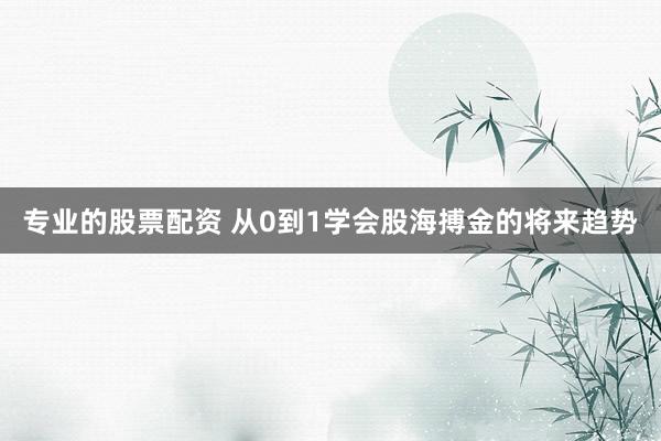 专业的股票配资 从0到1学会股海搏金的将来趋势