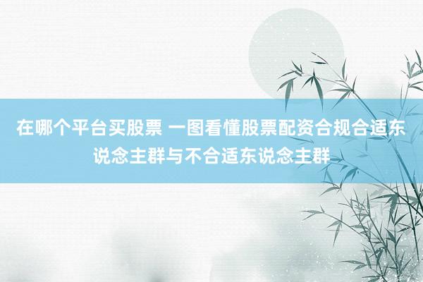 在哪个平台买股票 一图看懂股票配资合规合适东说念主群与不合适东说念主群