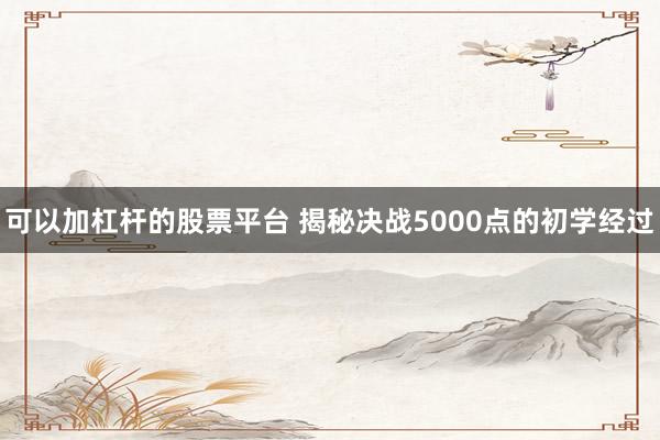 可以加杠杆的股票平台 揭秘决战5000点的初学经过