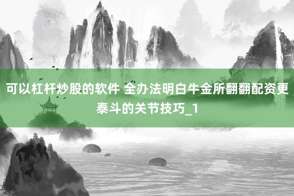 可以杠杆炒股的软件 全办法明白牛金所翻翻配资更泰斗的关节技巧_1