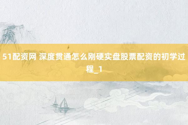 51配资网 深度贯通怎么刚硬实盘股票配资的初学过程_1