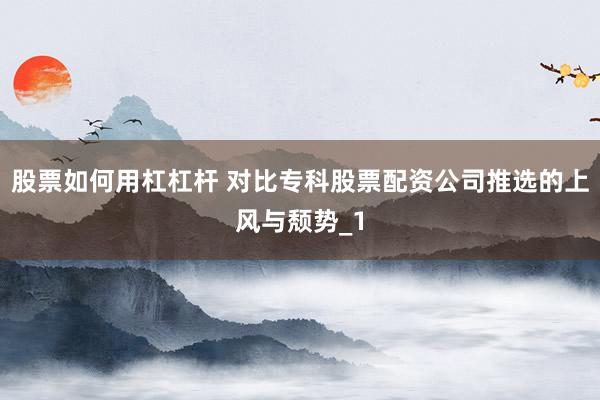 股票如何用杠杠杆 对比专科股票配资公司推选的上风与颓势_1