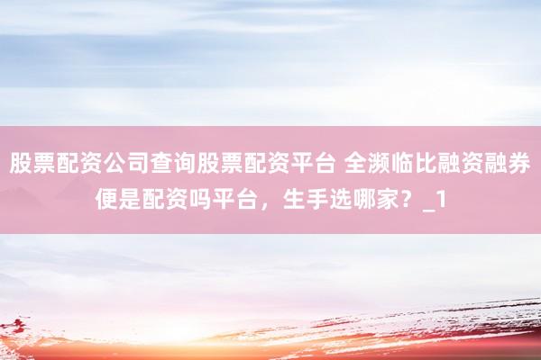 股票配资公司查询股票配资平台 全濒临比融资融券便是配资吗平台，生手选哪家？_1