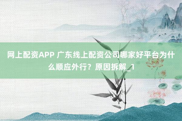 网上配资APP 广东线上配资公司哪家好平台为什么顺应外行？原因拆解_1