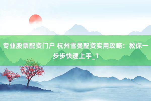 专业股票配资门户 杭州雪曼配资实用攻略：教你一步步快速上手_1