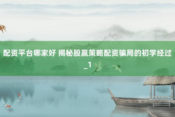 配资平台哪家好 揭秘股赢策略配资骗局的初学经过_1