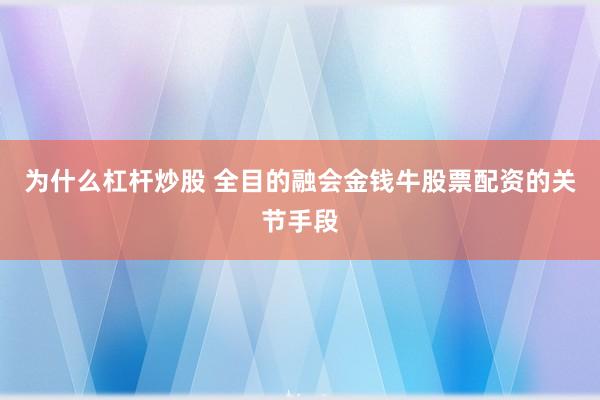 为什么杠杆炒股 全目的融会金钱牛股票配资的关节手段