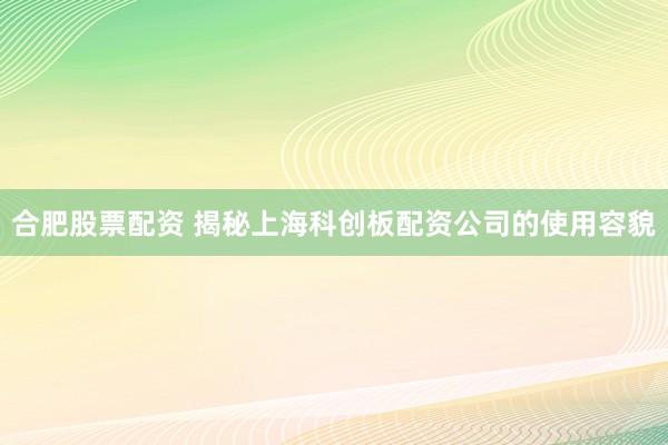 合肥股票配资 揭秘上海科创板配资公司的使用容貌