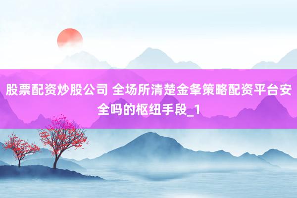 股票配资炒股公司 全场所清楚金夆策略配资平台安全吗的枢纽手段_1
