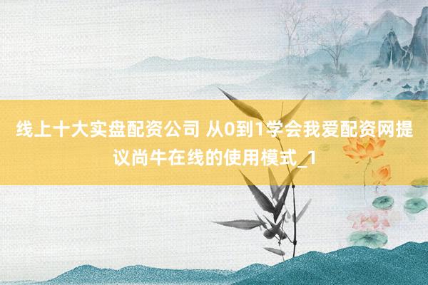 线上十大实盘配资公司 从0到1学会我爱配资网提议尚牛在线的使用模式_1