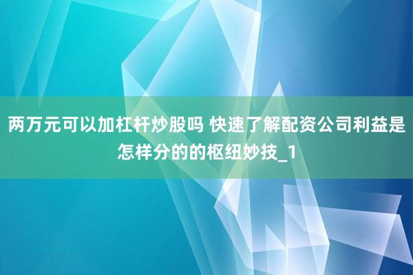 两万元可以加杠杆炒股吗 快速了解配资公司利益是怎样分的的枢纽妙技_1