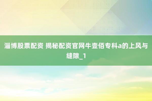 淄博股票配资 揭秘配资官网牛壹佰专科a的上风与缝隙_1