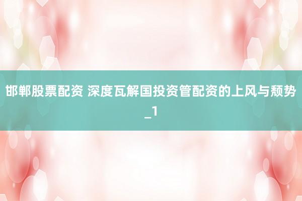 邯郸股票配资 深度瓦解国投资管配资的上风与颓势_1