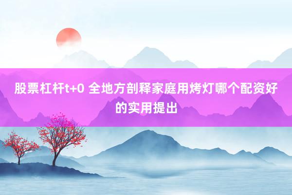 股票杠杆t+0 全地方剖释家庭用烤灯哪个配资好的实用提出