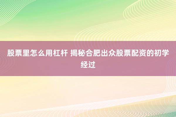 股票里怎么用杠杆 揭秘合肥出众股票配资的初学经过