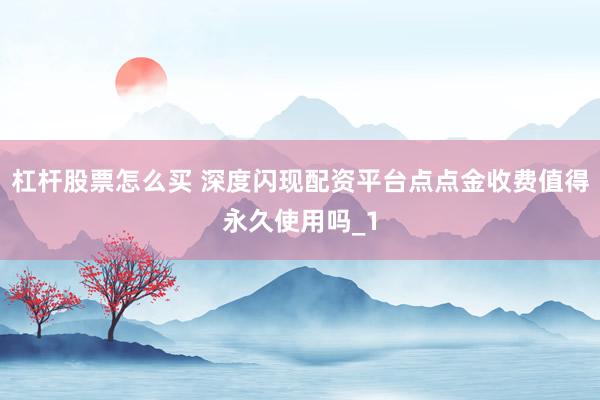 杠杆股票怎么买 深度闪现配资平台点点金收费值得永久使用吗_1