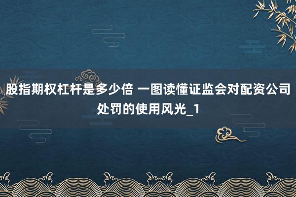 股指期权杠杆是多少倍 一图读懂证监会对配资公司处罚的使用风光_1